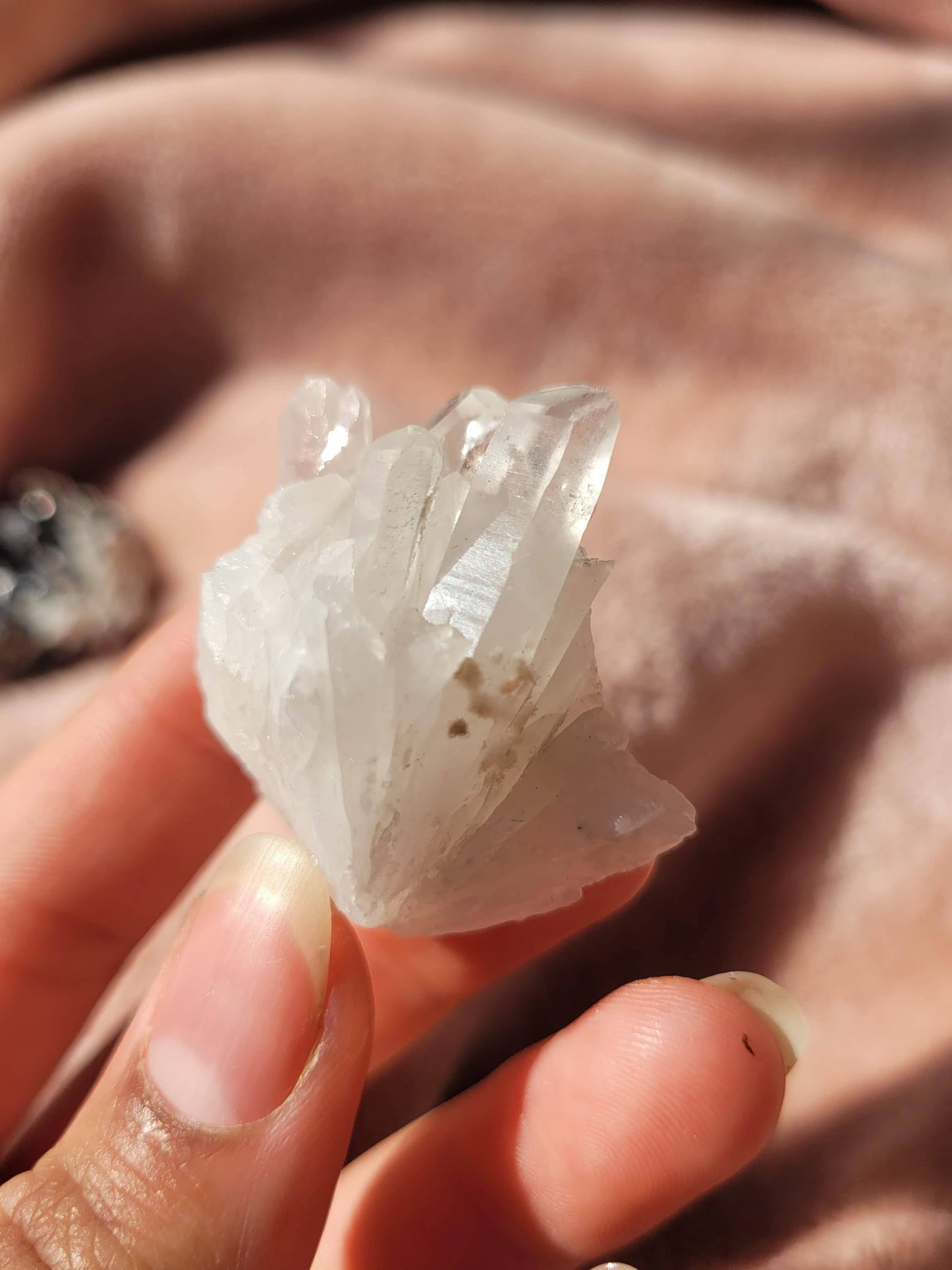 Raw Clear Quartz Cluster