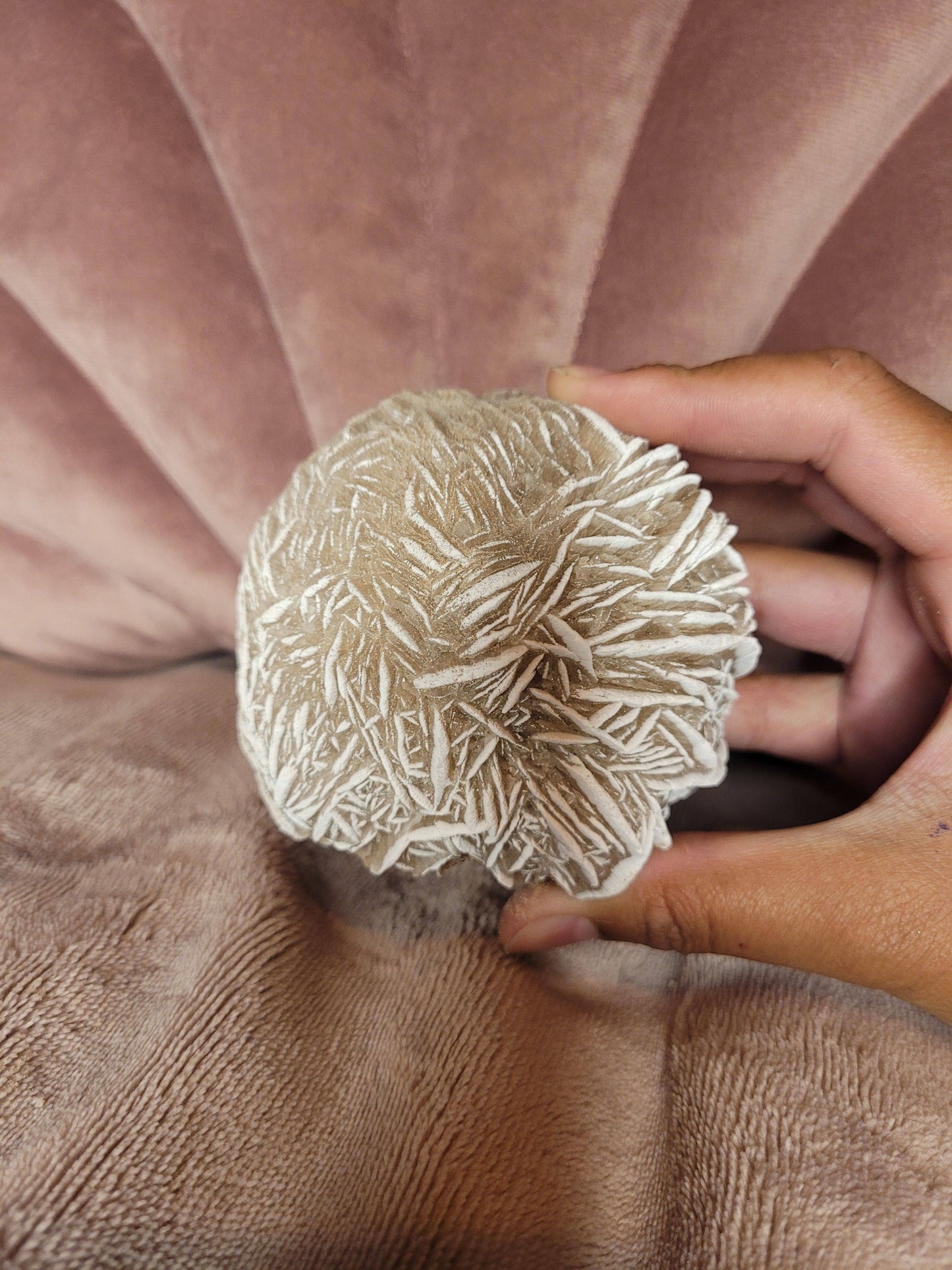 Desert rose raw