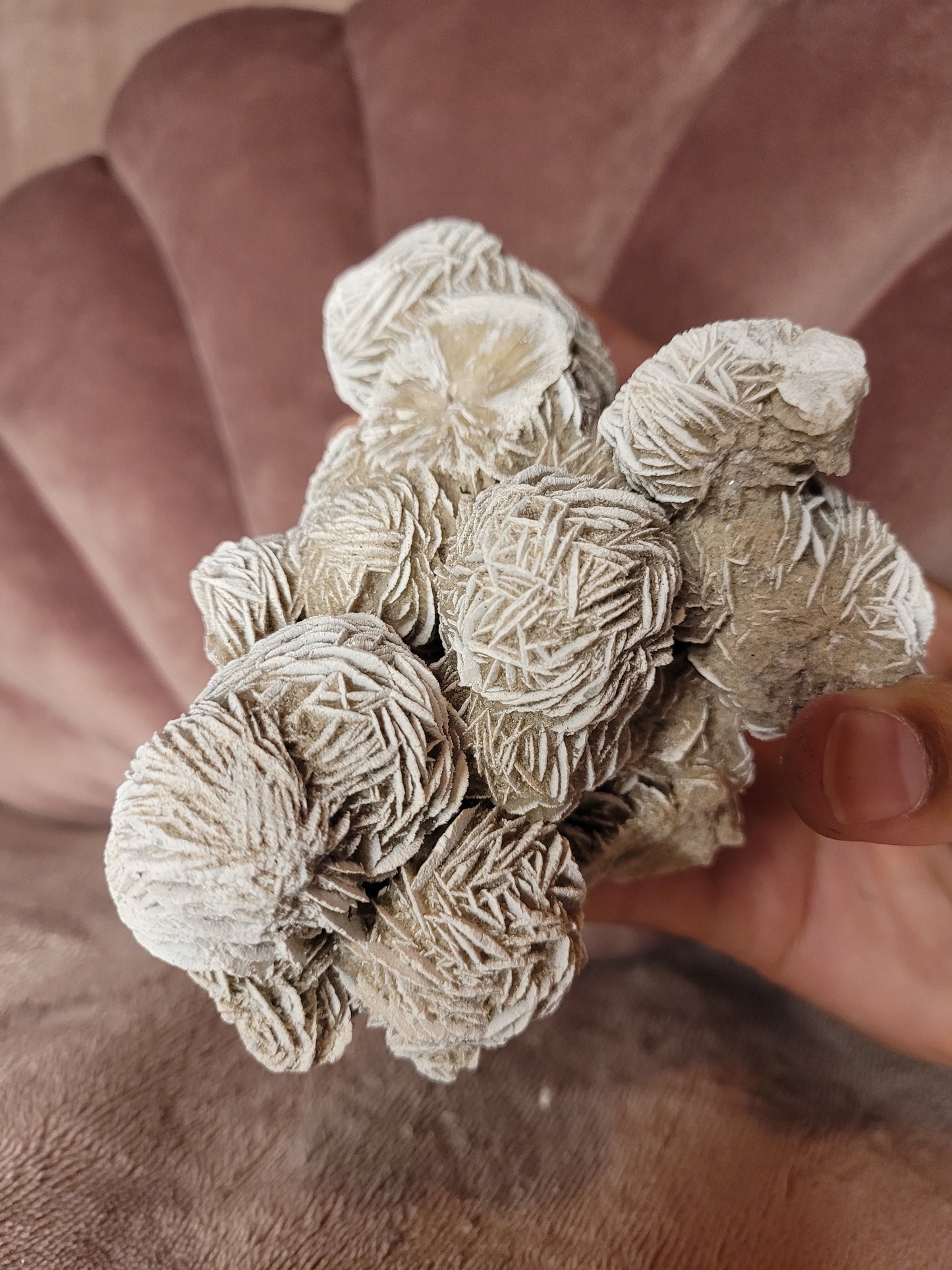 Desert rose raw