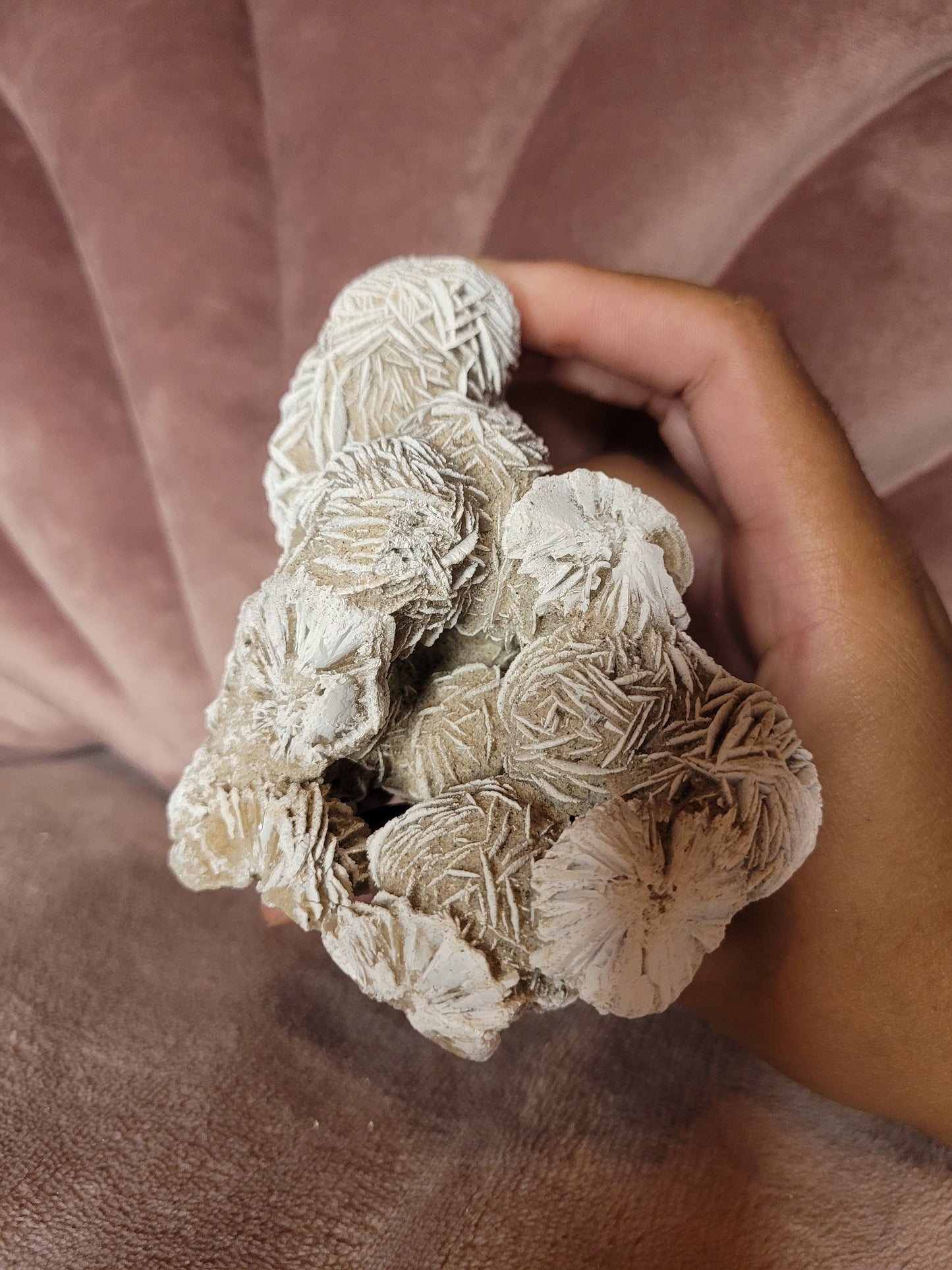 Desert rose raw