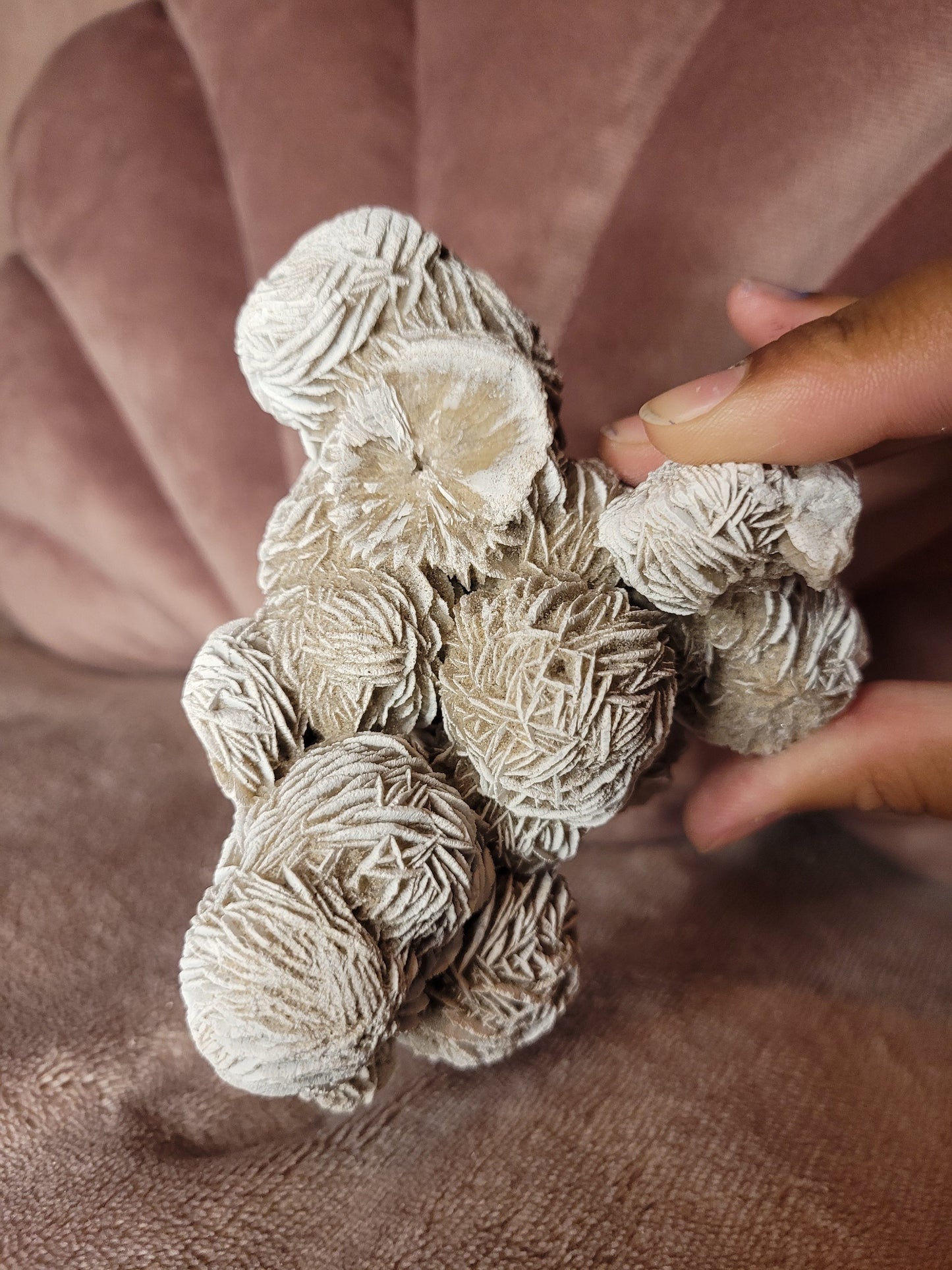 Desert rose raw
