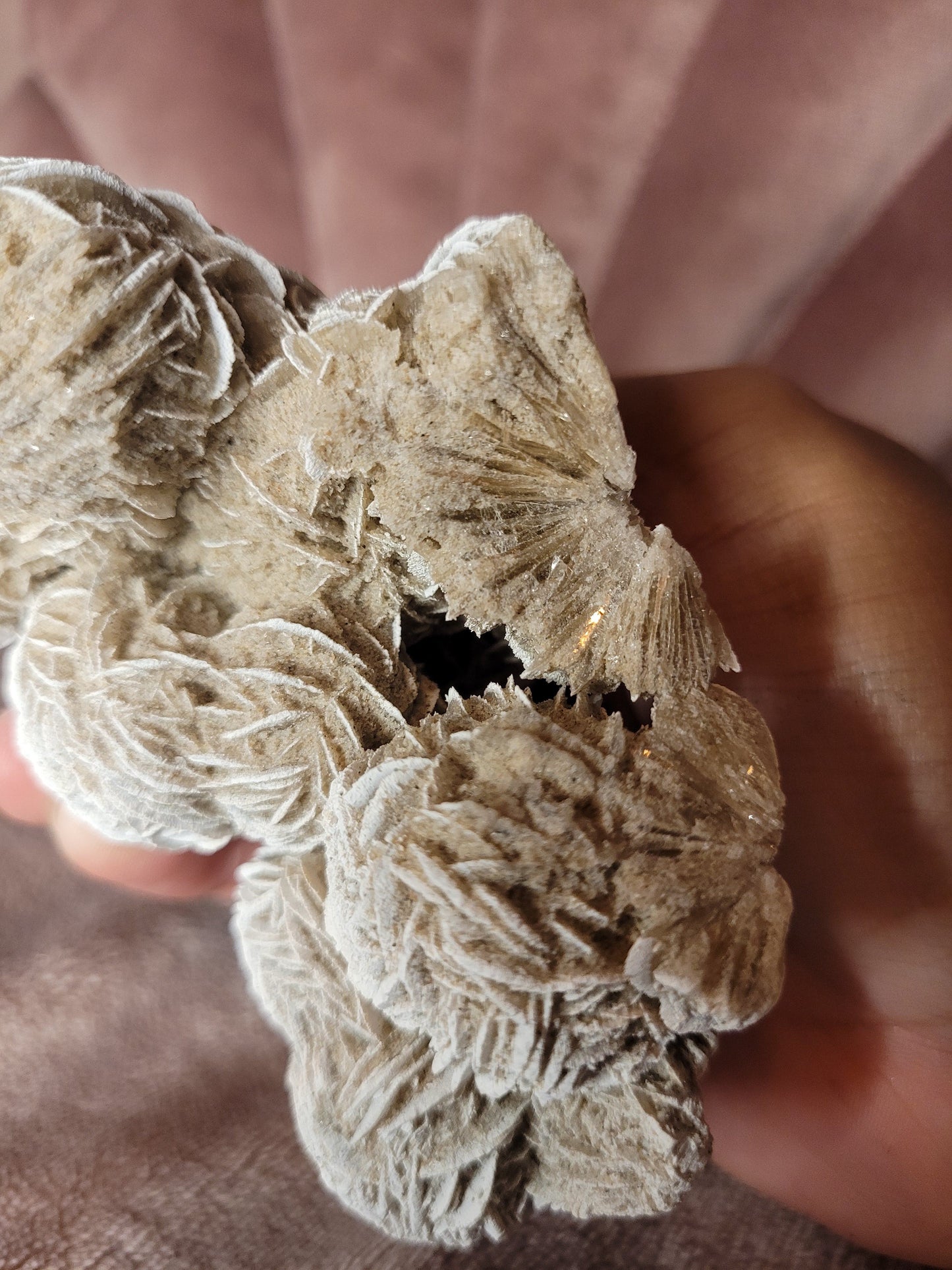 Desert rose raw