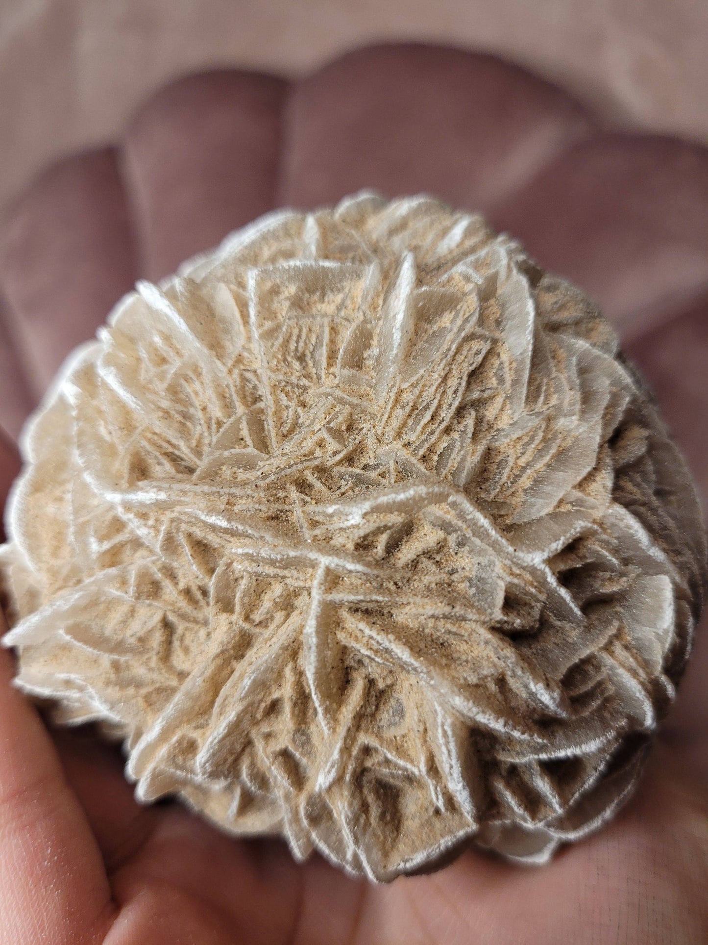 Desert rose raw