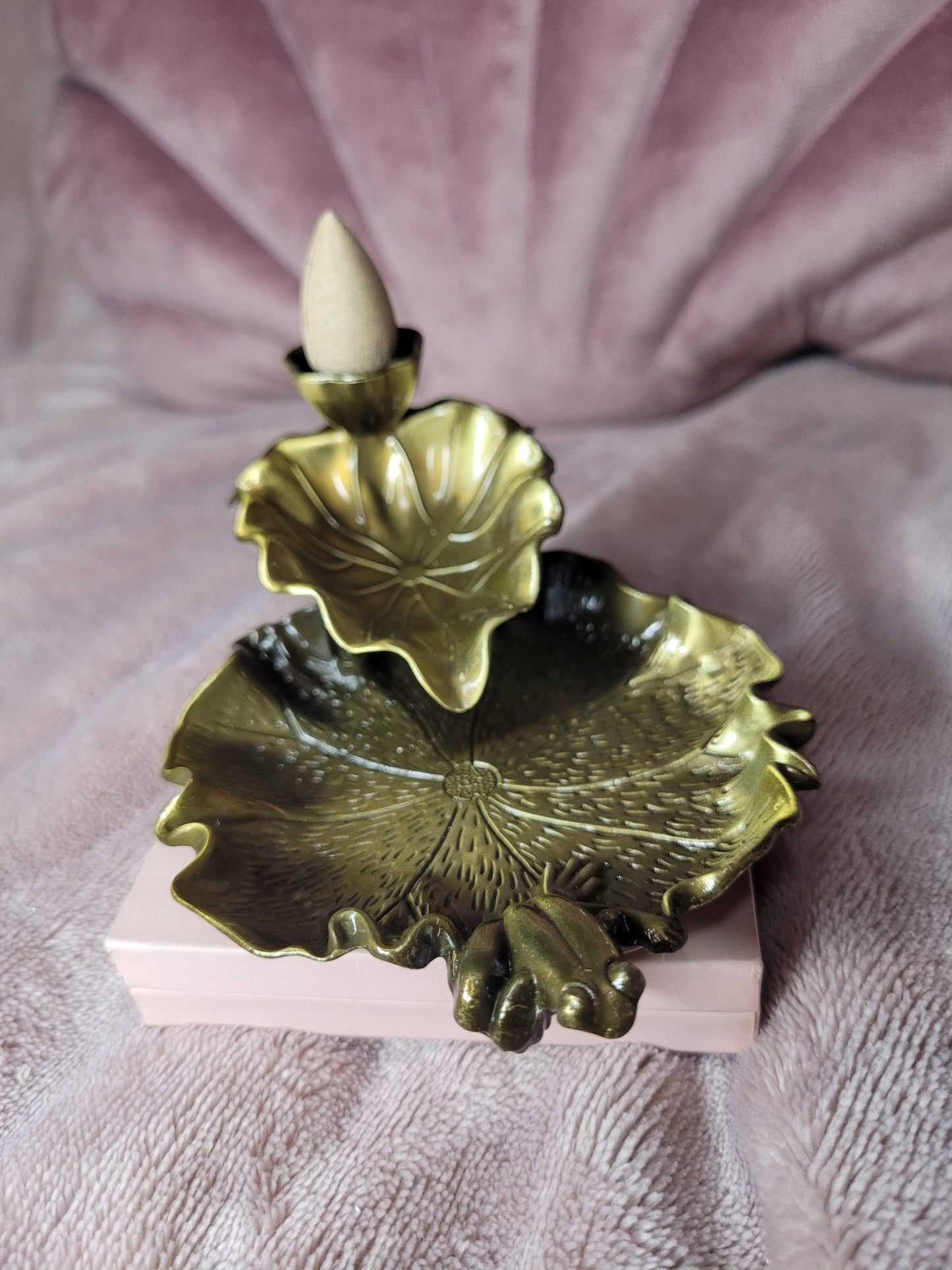 Lilly & frog backburn incence holder