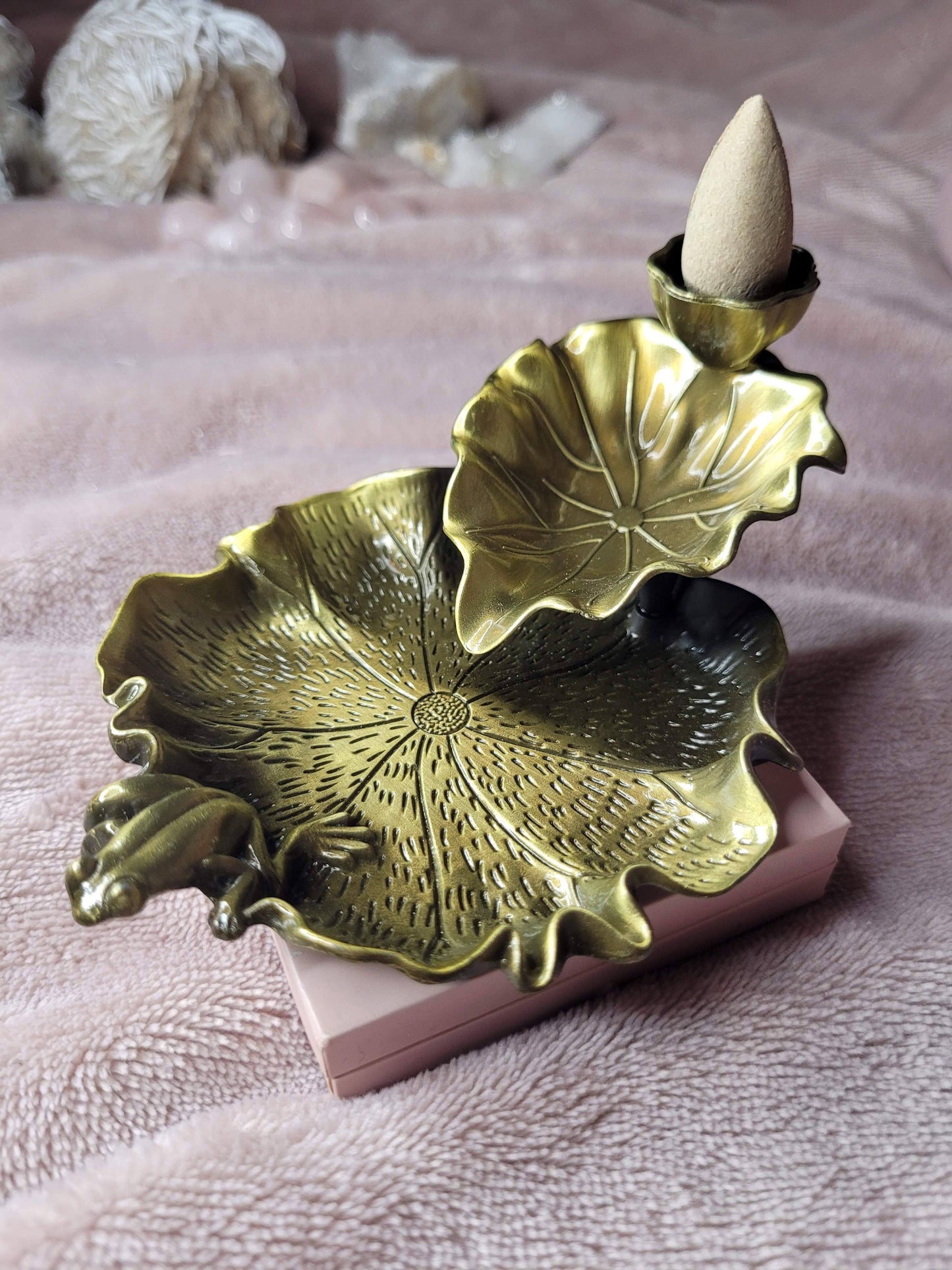 Lilly & frog backburn incence holder