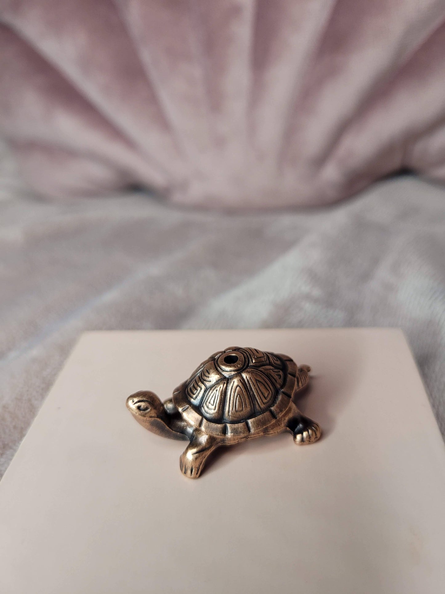Turtle incense holder