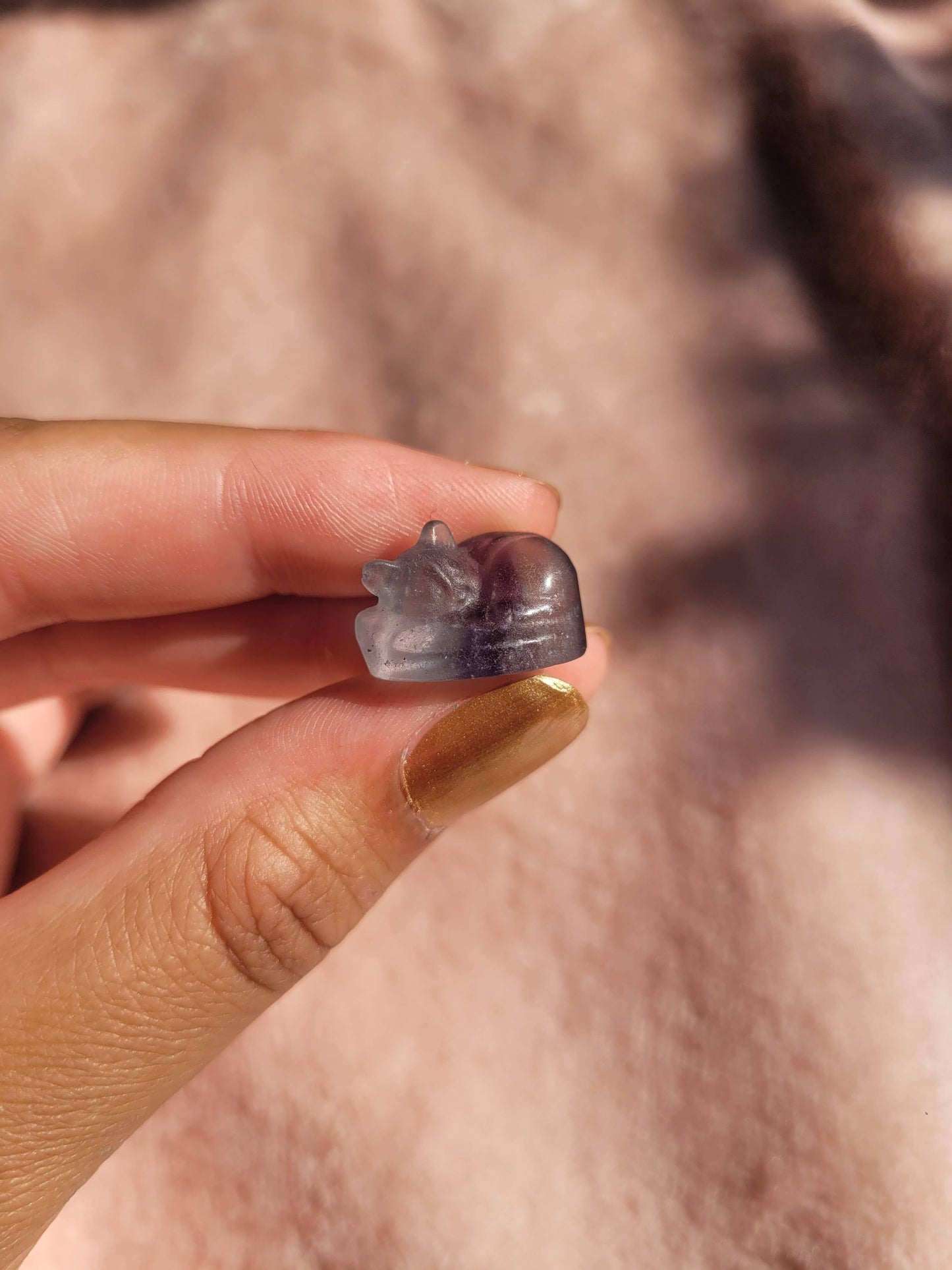Fluorite mini kittens