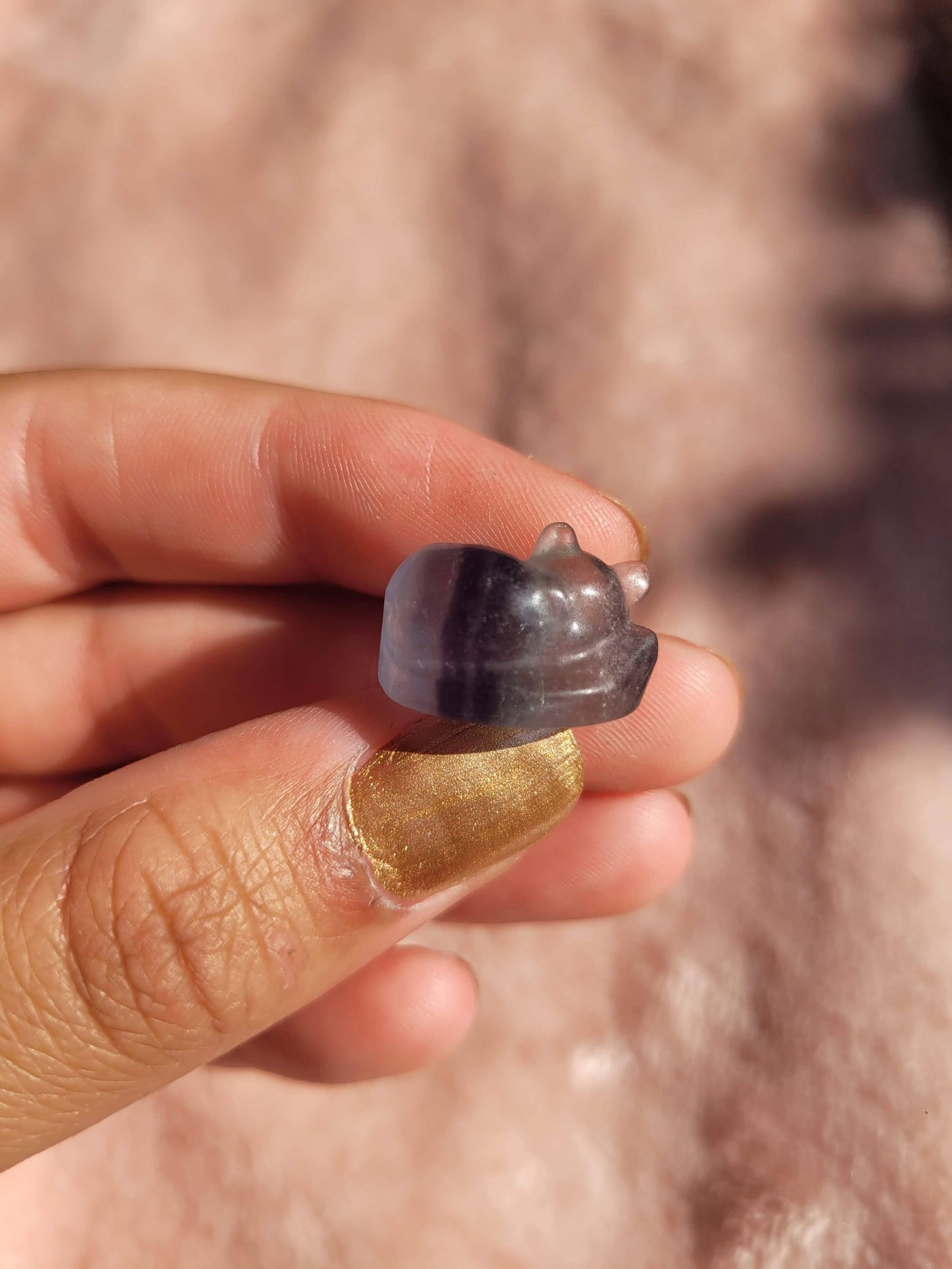 Fluorite mini kittens