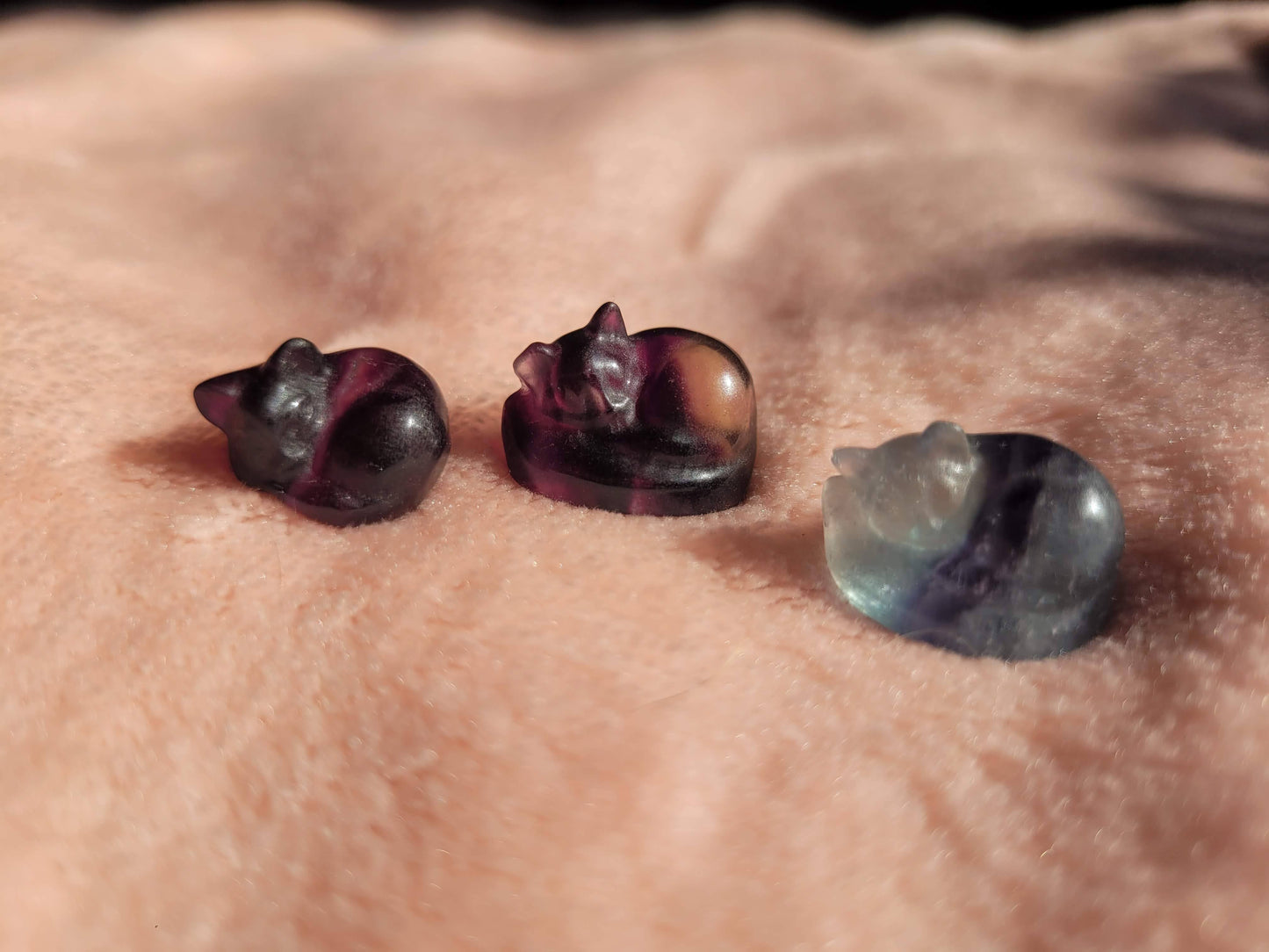 Fluorite mini kittens